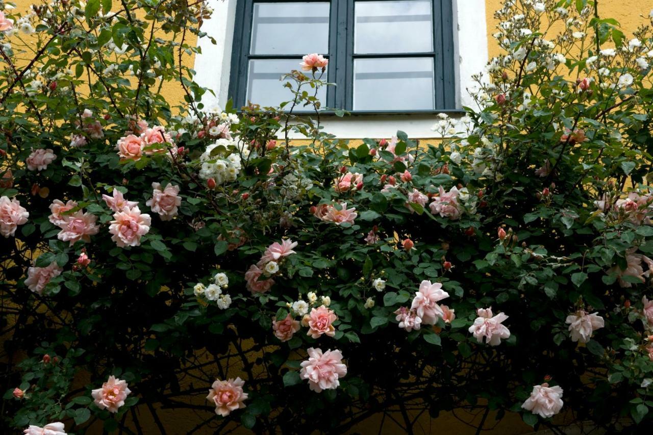 Marienschloessl Bed and Breakfast Wiedendorf Exteriör bild