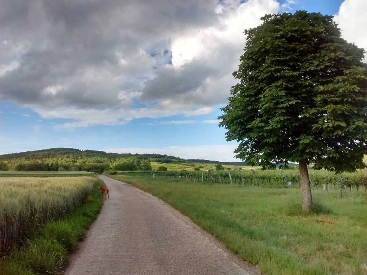 Marienschloessl Bed and Breakfast Wiedendorf Exteriör bild